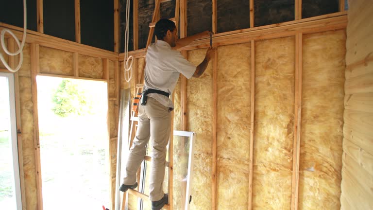 Best Attic Insulation Installation  in Hebron, IL